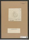 Diatomeae indet. Zeichnungen Sammlung Grunow Nr. 8976 (NHMW-BOT-W0378669)